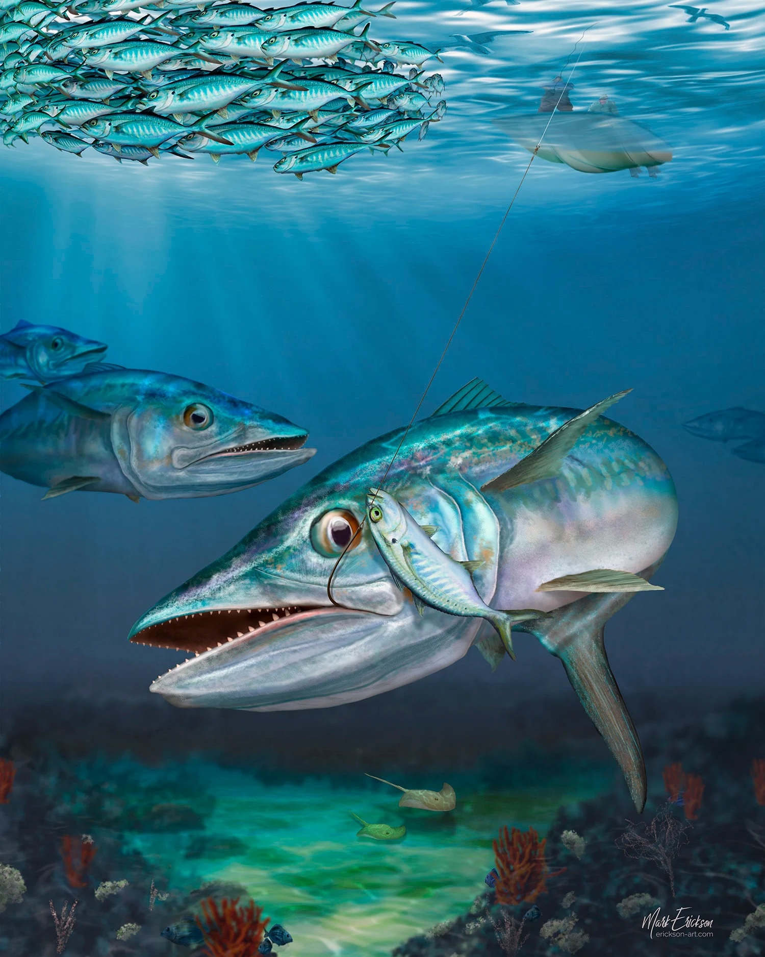 Mackerel-Art-001